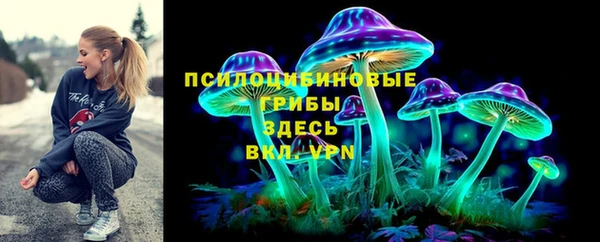 хмурый Верхний Тагил